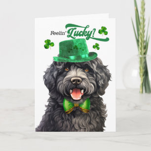 Barbet Hund fühlt sich am St. Patrick's Day glückl Feiertagskarte