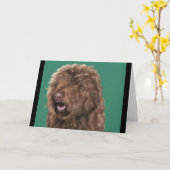 Barbet-Hund Karte (Gelbe Blume)