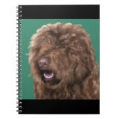 Barbet Notizblock (Vorderseite)