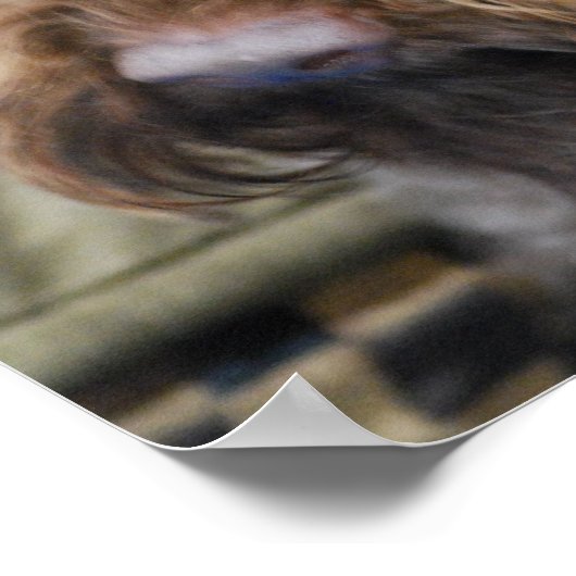 Barbet Poster (Ecke)