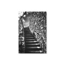 Barbican Steps, Schwarz-Weiß-Kunst