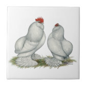 Barbu d'Everberg Hühner Fliese (Vorderseite)