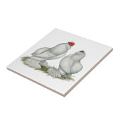 Barbu d'Everberg Hühner Fliese (Seite)