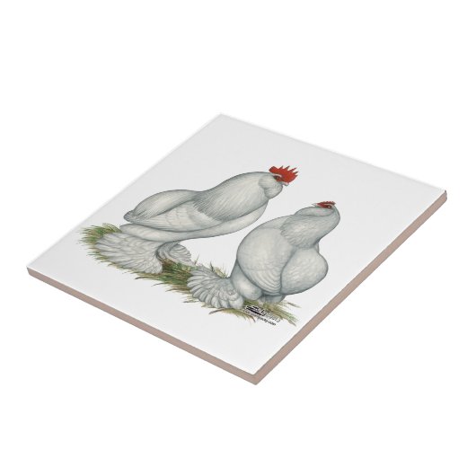 Barbu d'Everberg Hühner Fliese (Seite)