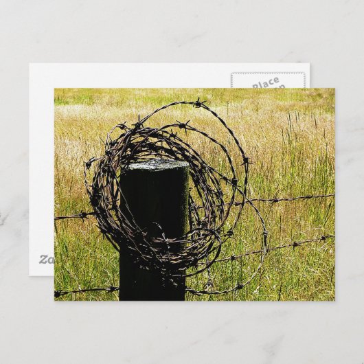 Barbwire-Land Postkarte (Vorne/Hinten)