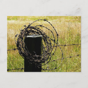Barbwire-Land Postkarte