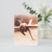 Barbwire und Spider Web in Sepia Postkarte (Stehend Vorderseite)