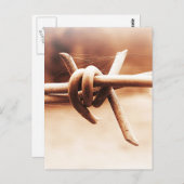 Barbwire und Spider Web in Sepia Postkarte (Vorne/Hinten)