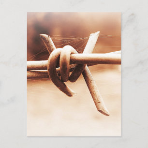 Barbwire und Spider Web in Sepia Postkarte