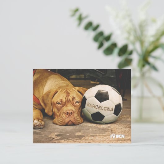 Barcelona's fanatic soccer dog postkarte (Stehend Vorderseite)