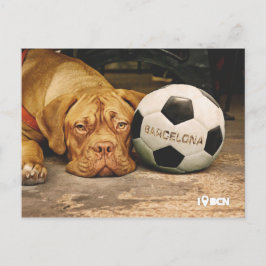 Barcelona's fanatic soccer dog postkarte