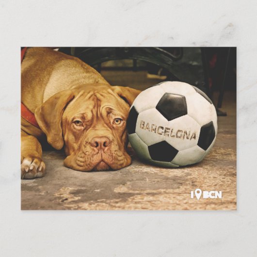 Barcelona's fanatic soccer dog postkarte (Vorderseite)