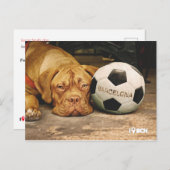 Barcelonas fanatischer Fußballhund Postkarte (Vorne/Hinten)