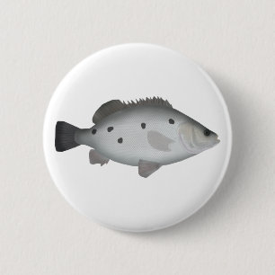 Barcoo Grunter Button