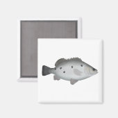 Barcoo Grunter Magnet (Vorderseite/Rückseite)