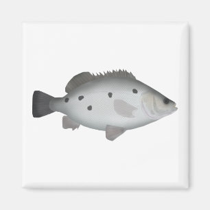 Barcoo Grunter Magnet