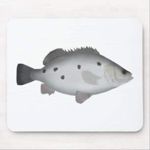 Barcoo Grunter Mousepad