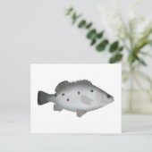 Barcoo Grunter Postkarte (Stehend Vorderseite)