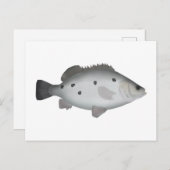 Barcoo Grunter Postkarte (Vorne/Hinten)