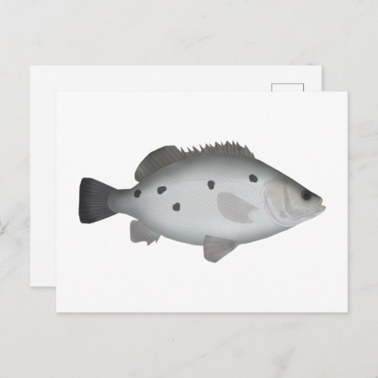 Barcoo Grunter Postkarte (Vorne/Hinten)