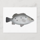 Barcoo Grunter Postkarte (Vorderseite)