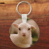 BARCOOS SCHLÜSSELANHÄNGER (Rückseite)