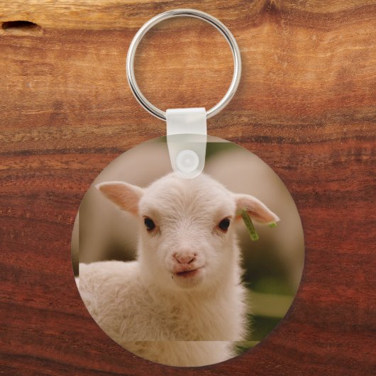 BARCOOS SCHLÜSSELANHÄNGER (Rückseite)