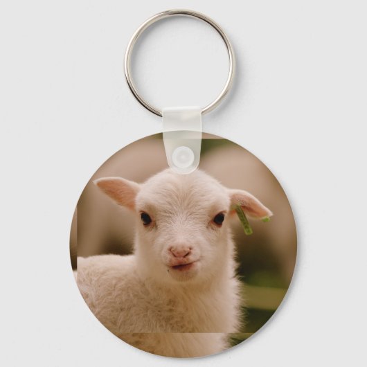 BARCOOS SCHLÜSSELANHÄNGER (Rückseite)