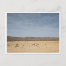 Bardenas Reales (Spanien)