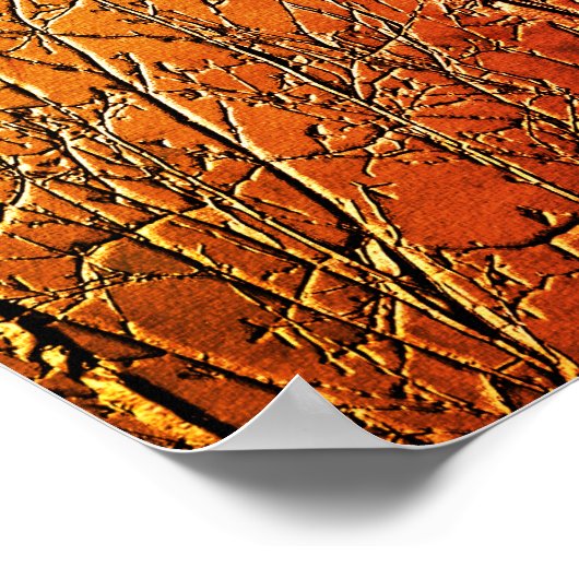 Bare Birch Tree Branches Abstrakt Poster (Ecke)