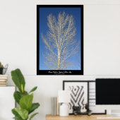 Bare Poplar gegen den blauen Himmel Poster (Heimbüro)