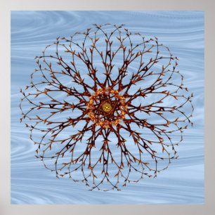 Bare Tree and Sky Mandala Poster Print