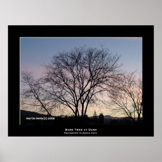 "Bare Tree at Dusk" Poster (Vorne)