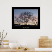 "Bare Tree at Dusk" Poster (Küche)