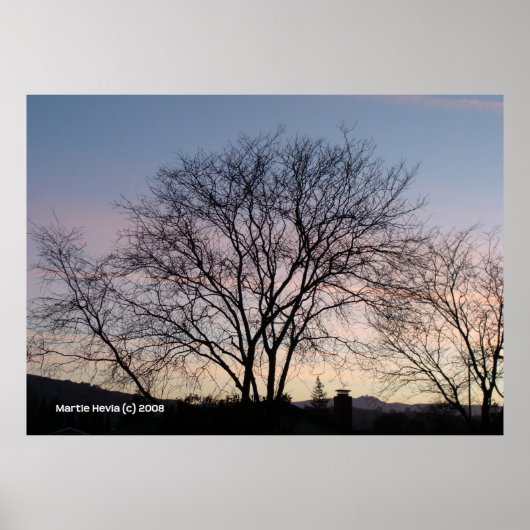 Bare Tree at Dusk Poster (Vorne)