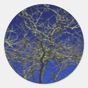 Bare Tree Aufkleber