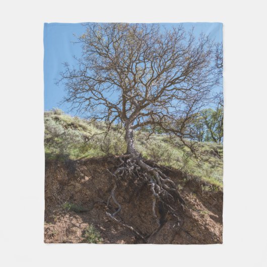 Bare tree on Berg während des Tages Fleecedecke (Vorderseite)