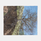 Bare tree on Berg während des Tages Fleecedecke (Vorderseite (Horizontal))