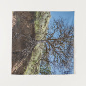 Bare tree on Berg während des Tages Wandteppich (Vorderseite (Horizontal))