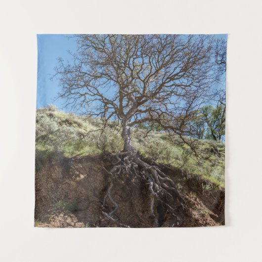 Bare tree on Berg während des Tages Wandteppich (Vorderseite)