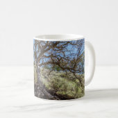 Bare tree on mountain during day kaffeetasse (VorderseiteRechts)