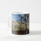 Bare tree on mountain during day kaffeetasse (Vorderseite Links)