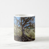 Bare tree on mountain during day kaffeetasse (Mittel)