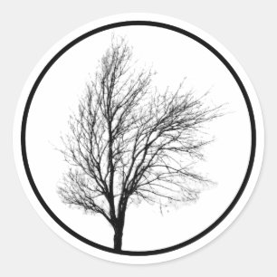 Bare Tree Silhouette Sticker