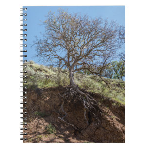 Bare tree während des Tages auf dem Berg Notizblock