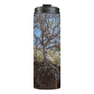 Bare tree während des Tages auf dem Berg Thermosbecher