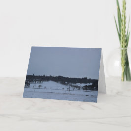 Bare Trees in the Snow Feiertagskarte