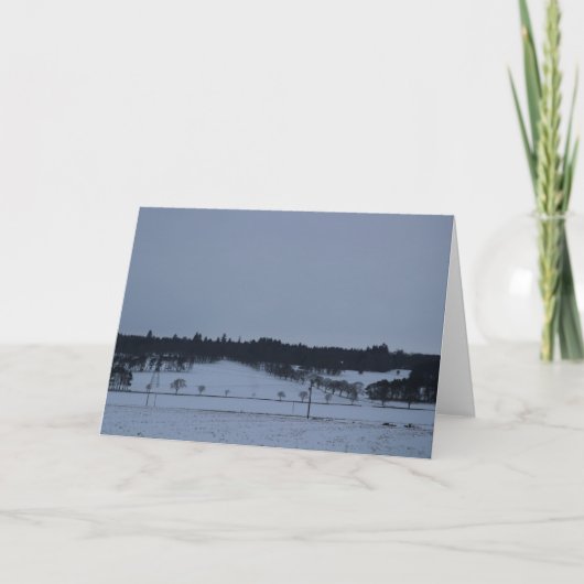 Bare Trees in the Snow Feiertagskarte (Vorderseite)