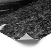 Bareback Girl: 1904 Poster (Ecke)