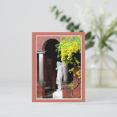 Barefoot Kate Postkarte (Stehend Vorderseite)